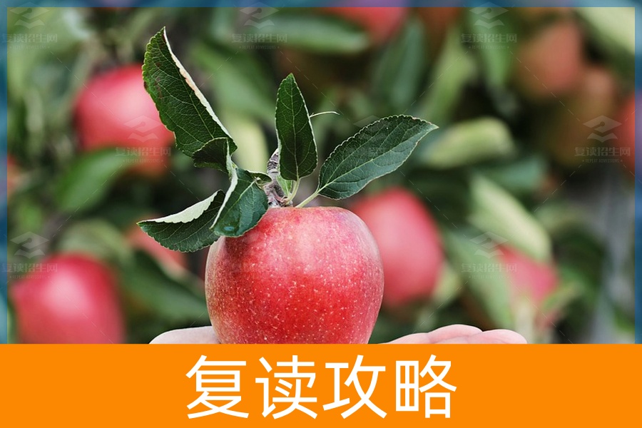 复读之旅,收获的不仅是成绩
