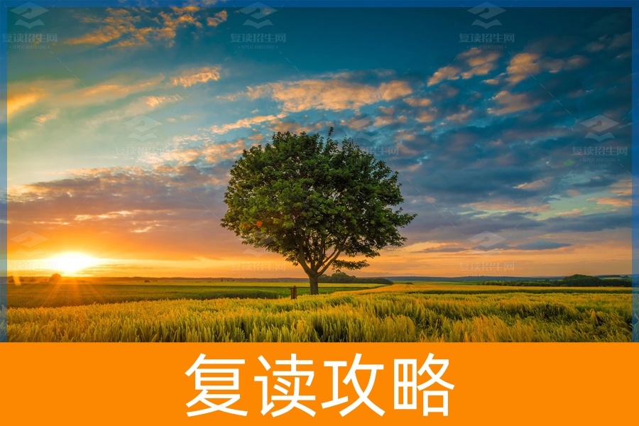 高考失利,复读是智慧的选择吗?