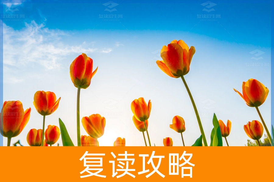 复读一年,我收获的远不止成绩的提升